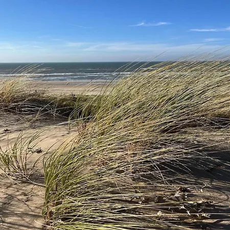 Aan Zee Nr 3 4*